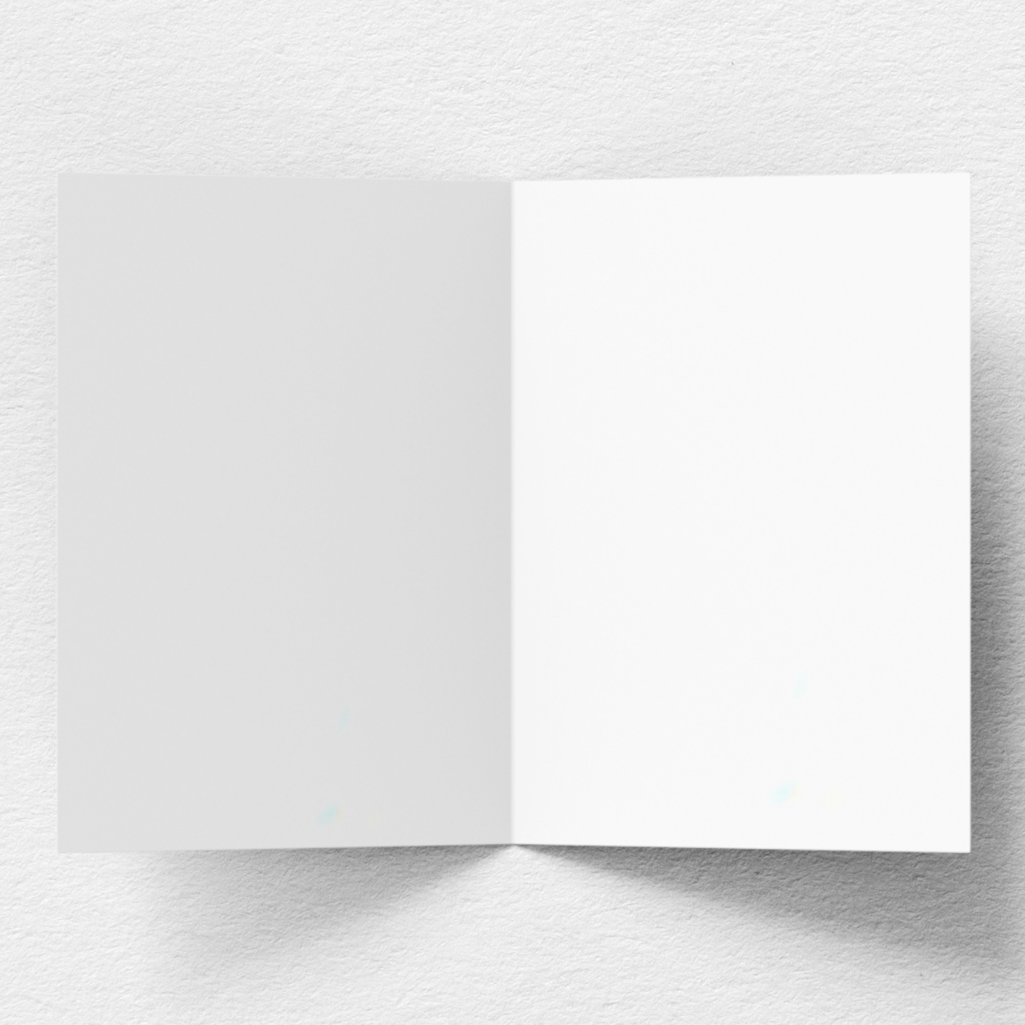 Merry Christmas Greeting Card