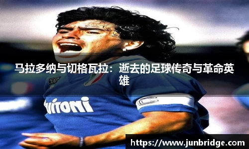 星空综合官网